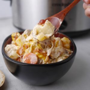 Creamy crack chicken soup Slow cooker